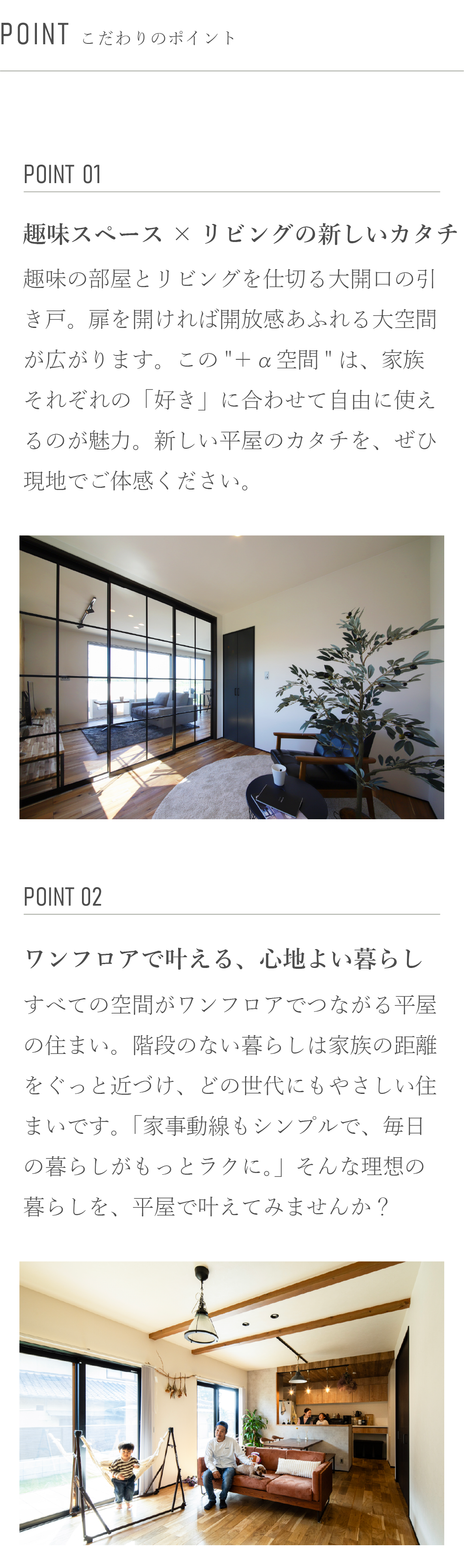 おすすめポイント　平屋　趣味　大開口　リビング　　　