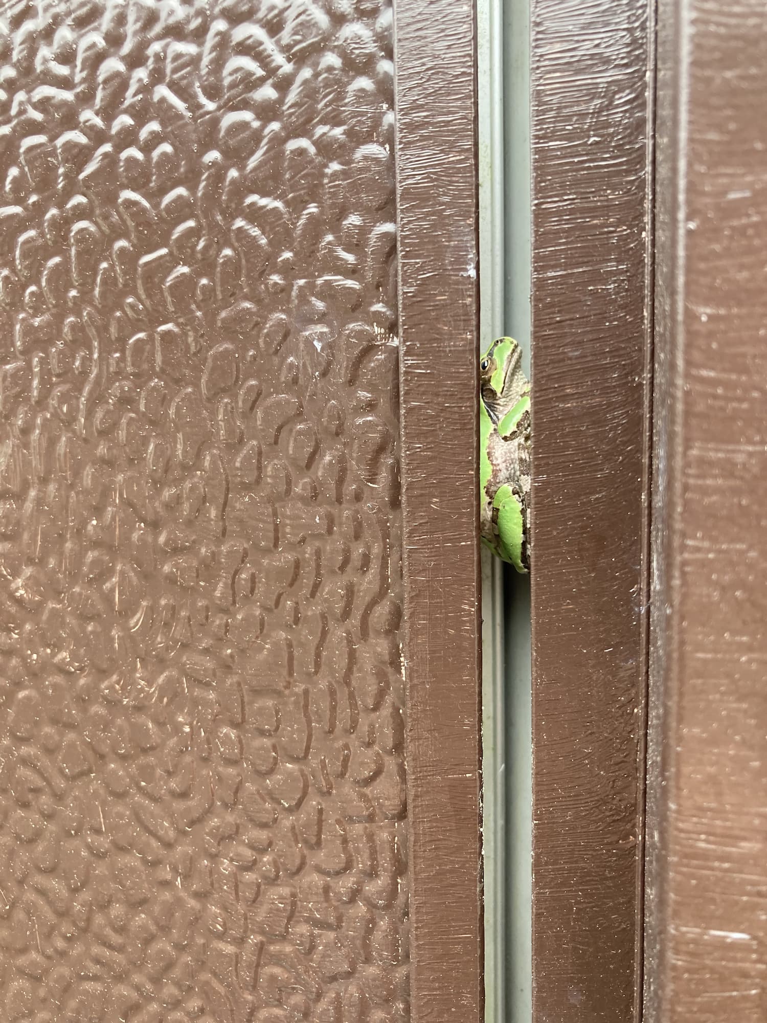 ドアのスキマにかえる