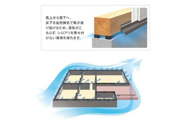 基礎パッキン